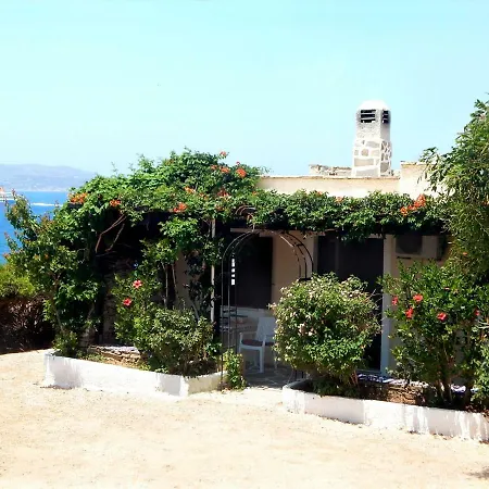 Evion * Naxos City